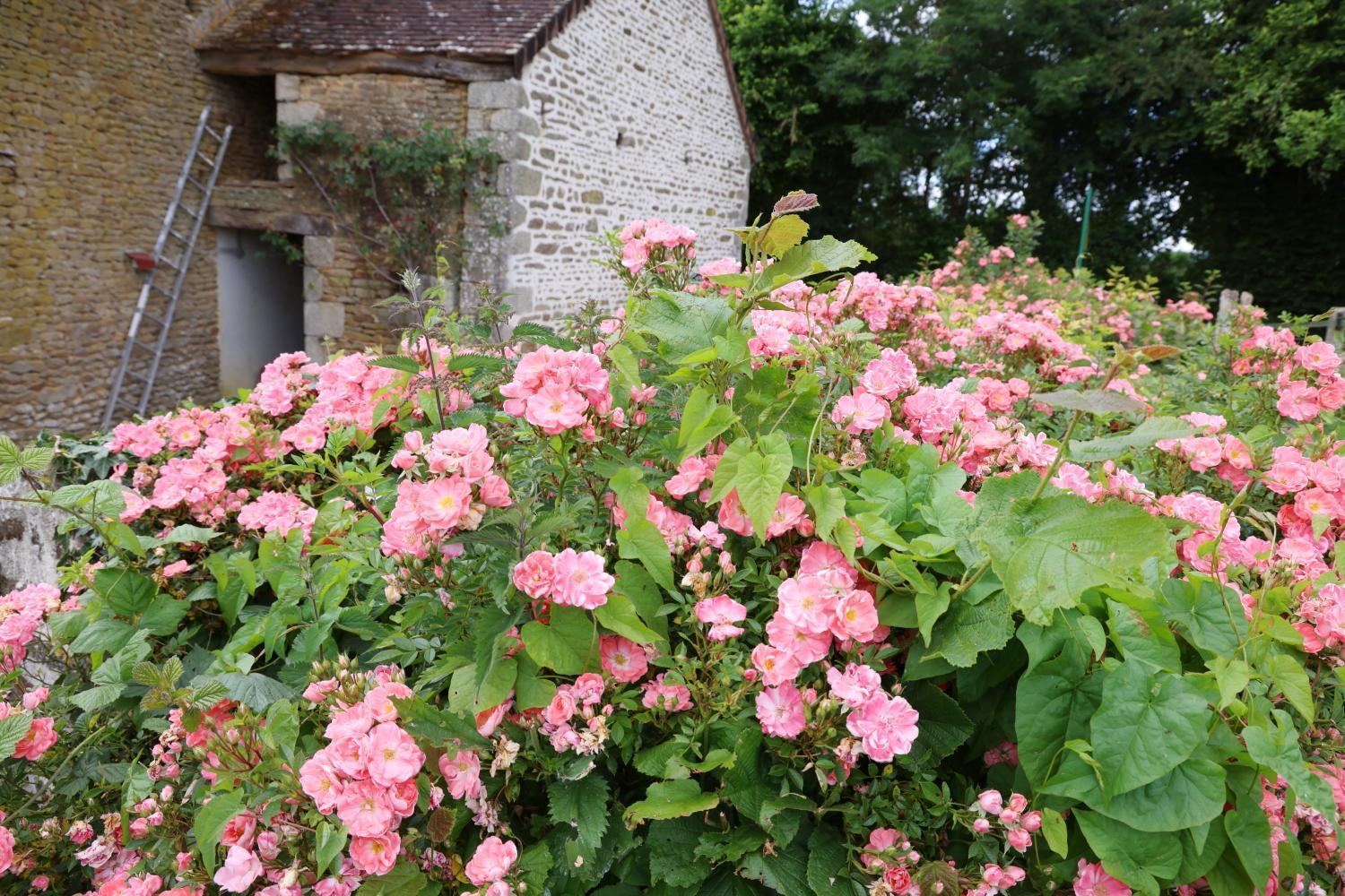 Chambre D'Hote Courtoux Saint-Denis-sur-Sarthon Kültér fotó